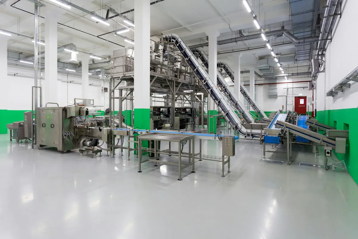 Food processing hall with stainless steel conveyors and a production line